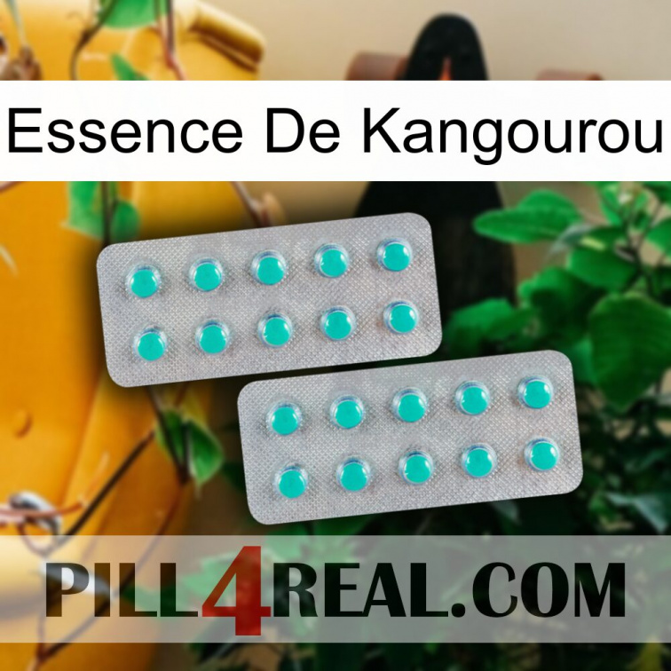 Kangaroo Essence 29